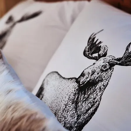 Szeligowka Appartement *