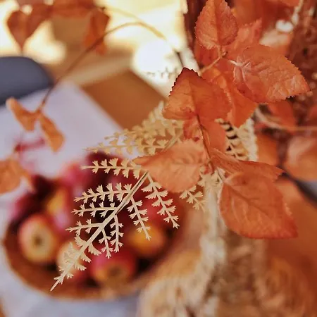 Szeligówka Apartament Kościelisko